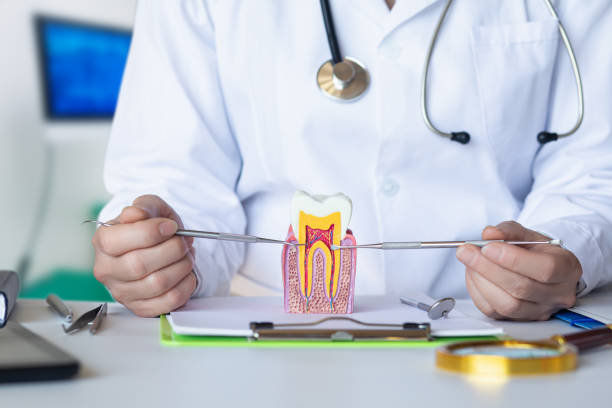 Best Urgent Dental Care for Toothaches in Sparta, GA